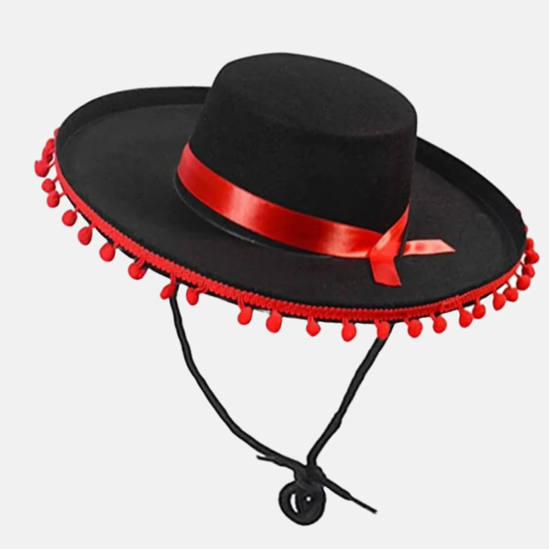 Black Wide-Brimmed Hat